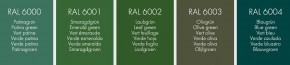 6x Sanremo Schwimmbadsilikon RAL 6000 - 6004 310ml