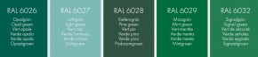 6x Sanremo Natural Stone Silicone RAL 6026 - 6032 310ml RAL 6027
